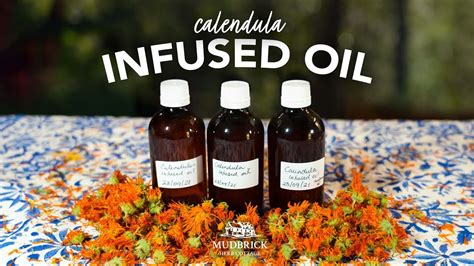 How To Make Calendula Infused Oil Youtube