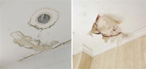 How To Fix Shower Leaking Through Ceiling 10 Easy Steps 2025