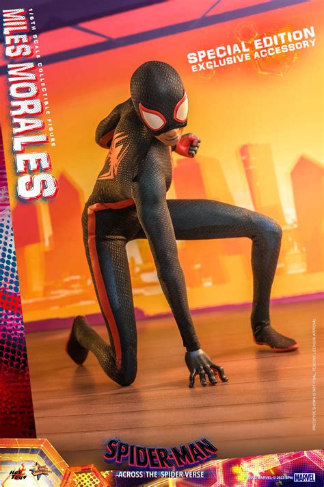 Miles Morales Hot Toys MMS710 Spider Man Across The Spider Verse 1 6th Scale Collectible Figure