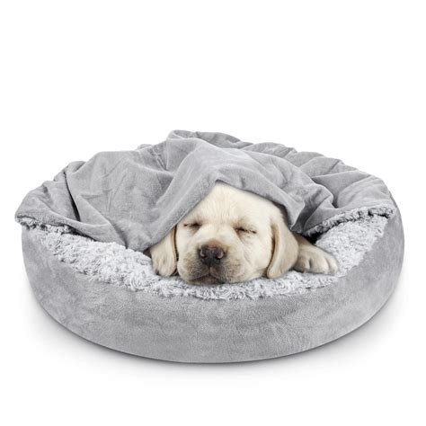 Why Do Dogs Ruffle Up Blankets at Lewis Burcham blog