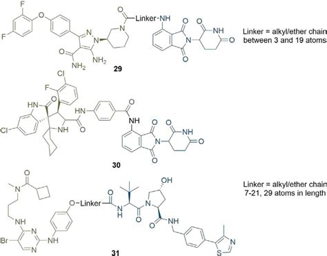 Overview Of Protac Linkers Types And Design Boc Sciences