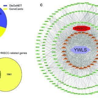 Construction Of Compound Target Disease Network A Screening Of