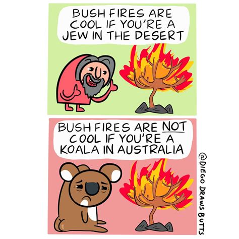 australian bushfires rfunny