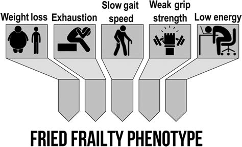 Criteria To Identify Frail Subjects The Physical Frailty Phenotype Download Scientific Diagram