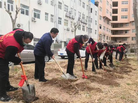 党建联盟聚合力 植绿护绿美家园——东城街道金湖社区开展植新绿志愿活动 新闻中心 东营网