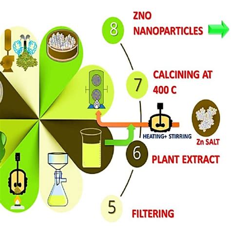 Key Steps Of The Green Synthesis Of Zinc Oxide Nanoparticles