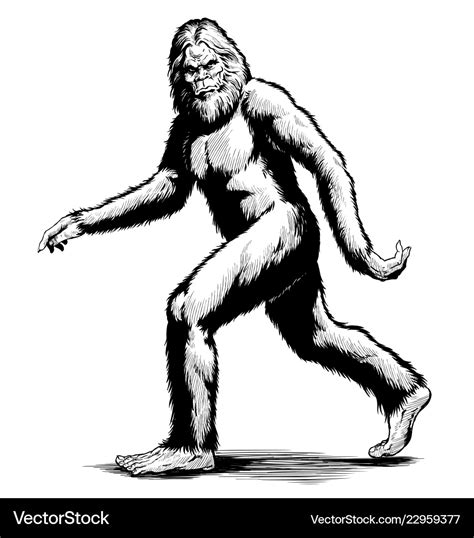 Sasquatch ClipArt Black And White