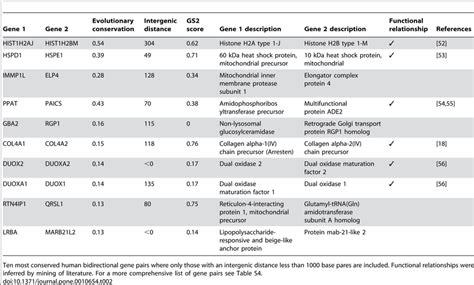 Conserved pairs of divergently transcribed genes from human. | Download ... 