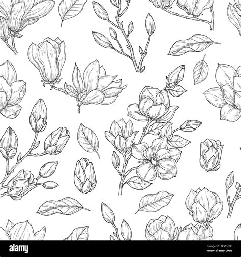 Design Patterns Flowers Drawing