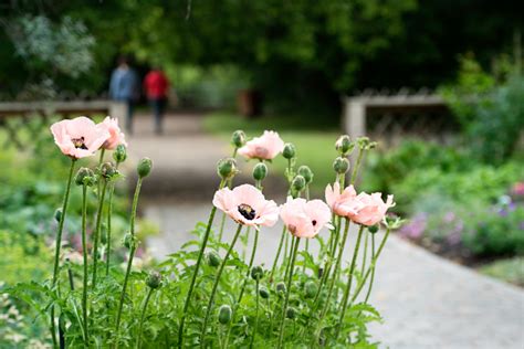 St Albert Botanic Park | T8N