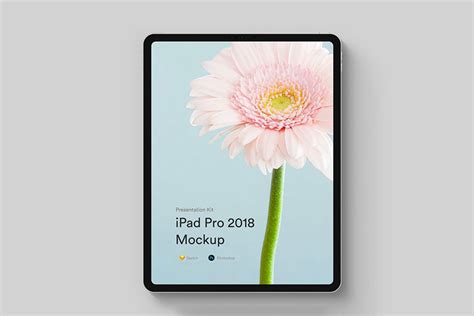 Best Ipad Pro Mockups For Awesome Graphic Design Colorlib