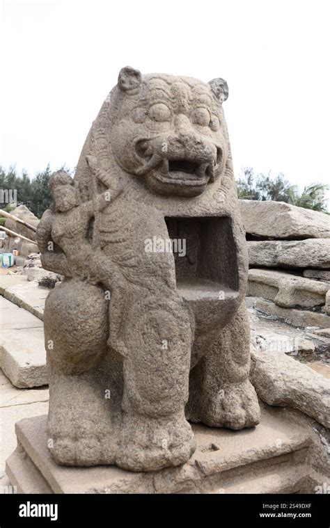 coastal temple  mahabalipuram mamallapuram stone lion figure