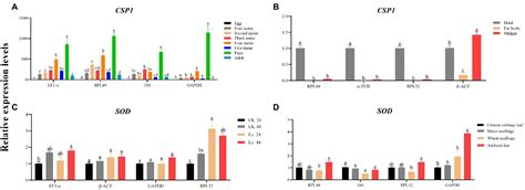 Frontiers Selection And Validation Of Reference Genes For