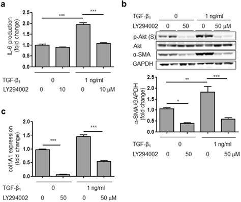 Acute Hyperthermia Inhibits TGF β1 induced Cardiac Fibroblast