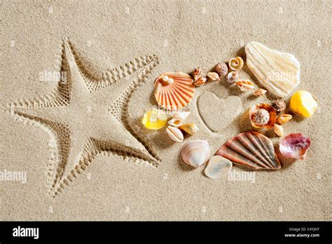 Beach White Sand Heart Shape And Starfish Printed And Shells As Summer