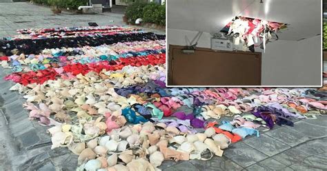 Lingerie Thief Who Hid Pieces In Ceiling Caught When It