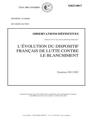 Remplissable En Ligne Observations Dfinitives Lvolution Du Dispositif