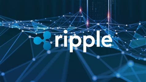 Ripple Xrp On The Rise Whales Under Observation Block Builders Net