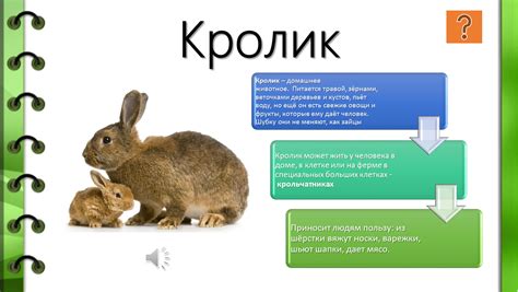Интерактивный плакат