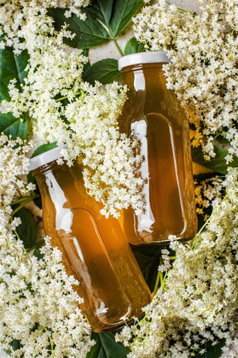 Honey Elderflower Cordial Occasionally Eggs