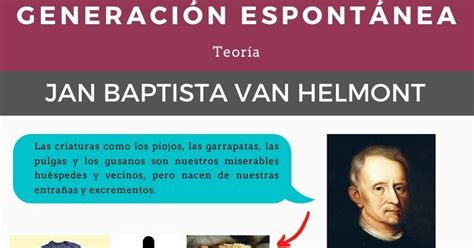 Van Helmont Experimento - Generación espontánea: experimentos de Van Helmont y Redi