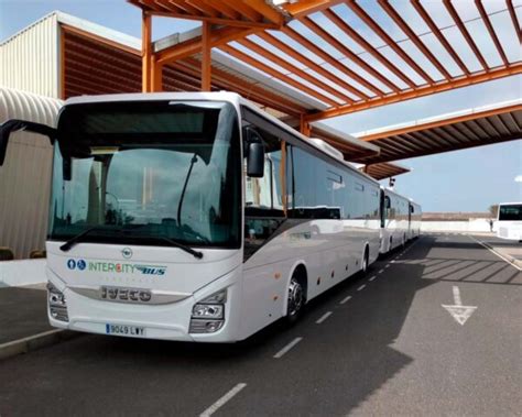 Kanarya Adaları yollarında Iveco otobüsler turlayacak Ticari Türk