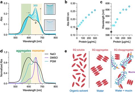 Squaraine Dyes As Fluorescent Turnon Probes For Mucins A Step Toward