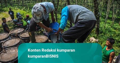 Foto Produksi Karet Di RI Tembus 3 14 Juta Ton Naik 0 64 Persen