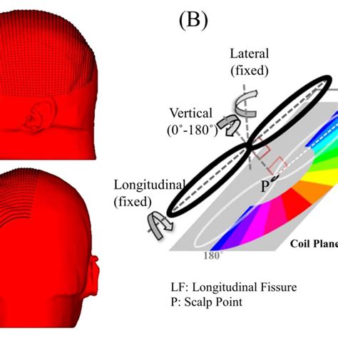 Volume Conductor Model Constructed From An MRI A1 A2 Superior Views