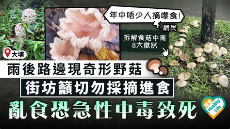 食用安全｜雨後路邊現奇形野菇 大埔街坊籲切勿採摘進食 衞生防護中心︰誤食恐急性中毒致死 晴報 健康 飲食與運動 D230626