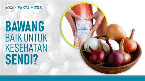 Sederet Makanan Yang Baik Untuk Sendi Bawang Bawangan Salah Satunya