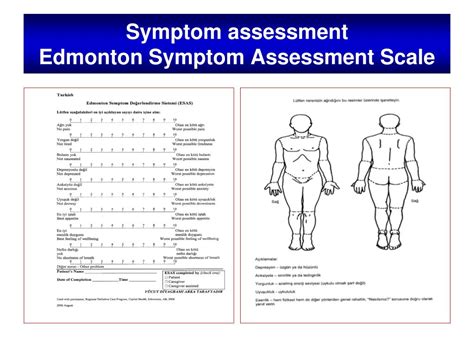 Ppt Symptom Control In The Terminally Ill Lung Cancer Patient Powerpoint Presentation Id5635742