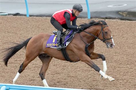 【宝塚記念】1週前追い 精神的に成長したアスクビクターモアが力強い脚取りでラスト11秒4｜競馬ニュース｜競馬予想のウマニティ