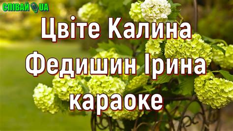 Цвіте калина (мінус, караоке) - YouTube