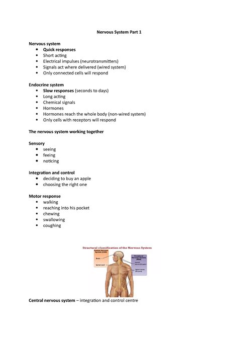 Nervous System Part Special Senses Vision Taste Hearing Smell