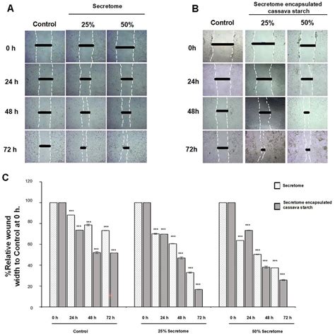 Hacat Secretome Promoted Wound Healing In Ihdf Cells A Download