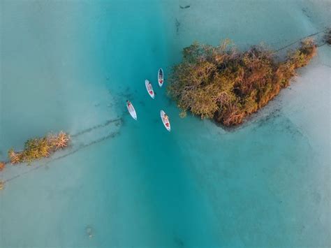 Bacalar Private SUP Tour GetYourGuide