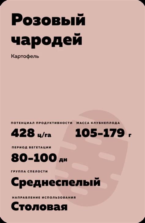 Розовый чародей - картофель. Характеристики и отзывы