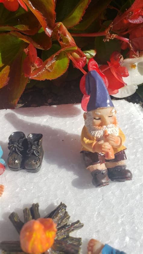 6 Piece Camping Gnomes - The Gnome Shop