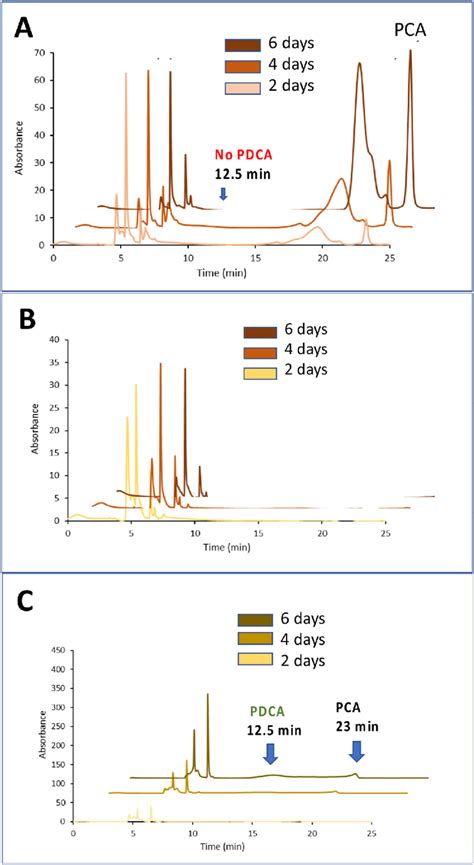 Conversion of different carbon sources to protocatechuic acid (PCA) and... | Download Scientific ...