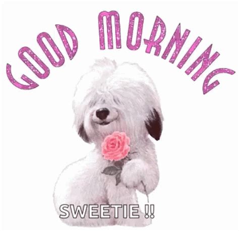 Good Morning Glitter GIF - Good Morning Glitter Dog - Discover & Share GIFs