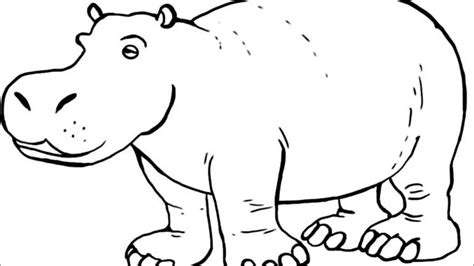 Hippo Outline Drawing at PaintingValley.com | Explore collection of ...