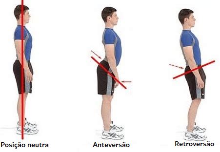 Movimentos Do Corpo Humano Anatomia Papel E Caneta