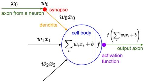 Single neuron in neural network using c++ - Stack Overflow