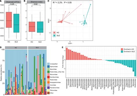 Frontiers Alterations Of The Gut Virome In Patients With Systemic