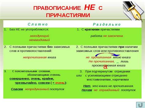 Правила по русскому языку 7 класс - основные понятия и определения