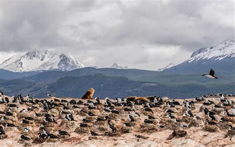 Tierra del Fuego: the history of indigenous people in a harsh land