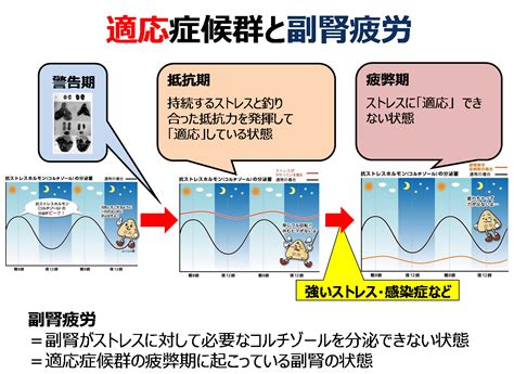 副腎疲労は『結果』である 京橋ウェルネスクリニック（宮澤医院）