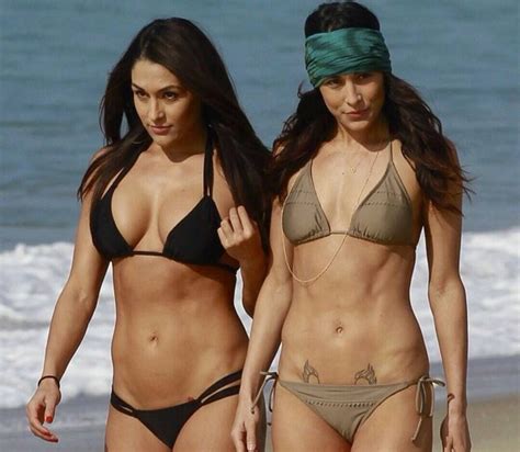 Brie Bella In Bikini Brie Bella And Nikki Bella In Bikini And A Hot