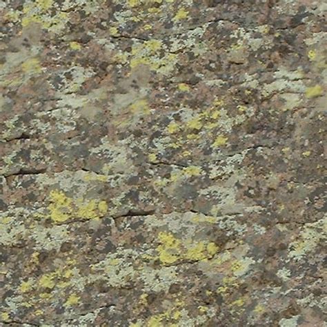 Texture Png Mossy Rock Tilable